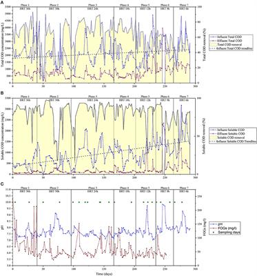 Microbial Community Redundancy and Resilience Underpins High-Rate Anaerobic Treatment of Dairy-Processing Wastewater at Ambient Temperatures